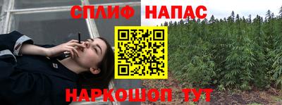 СК Краснодар