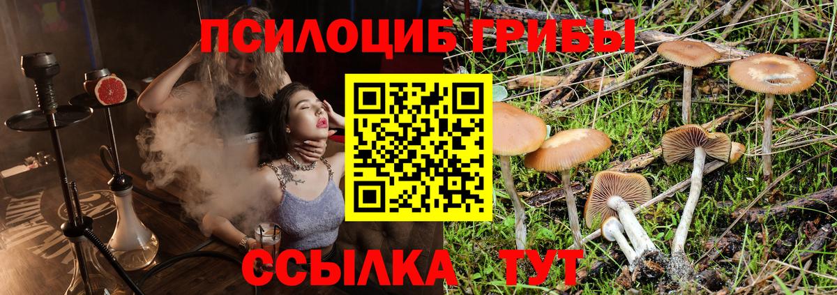 Псилоцибиновые грибы прущие грибы  Вход с VPN  Волгодонск 