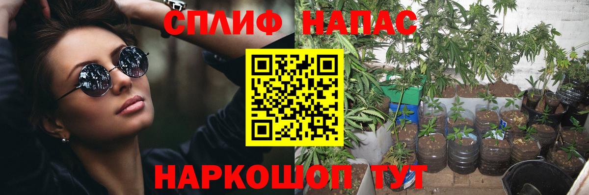 МАРИХУАНА Amnesia  МАРИХУАНА сатива  Волгодонск  Вход с VPN 